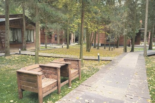 Дорожка между корпусами среди сосен